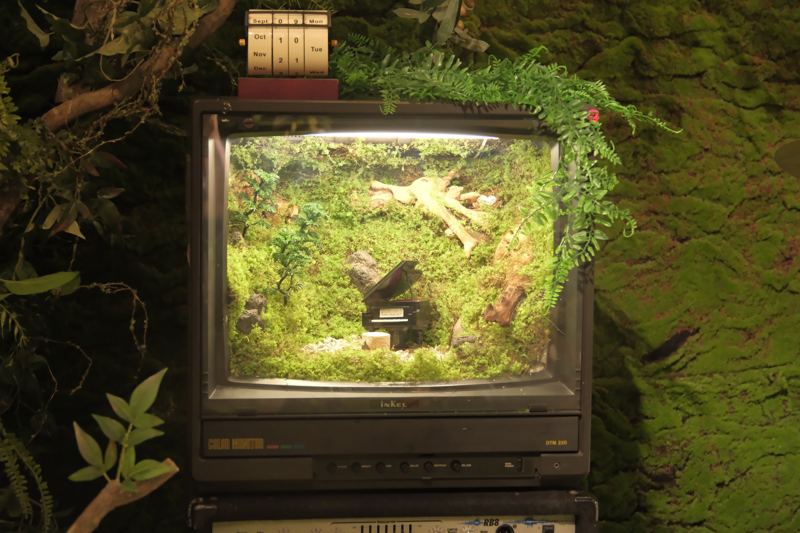 브라운관 TV 안의 이끼 테라리움과 그 위의 탁상 달력